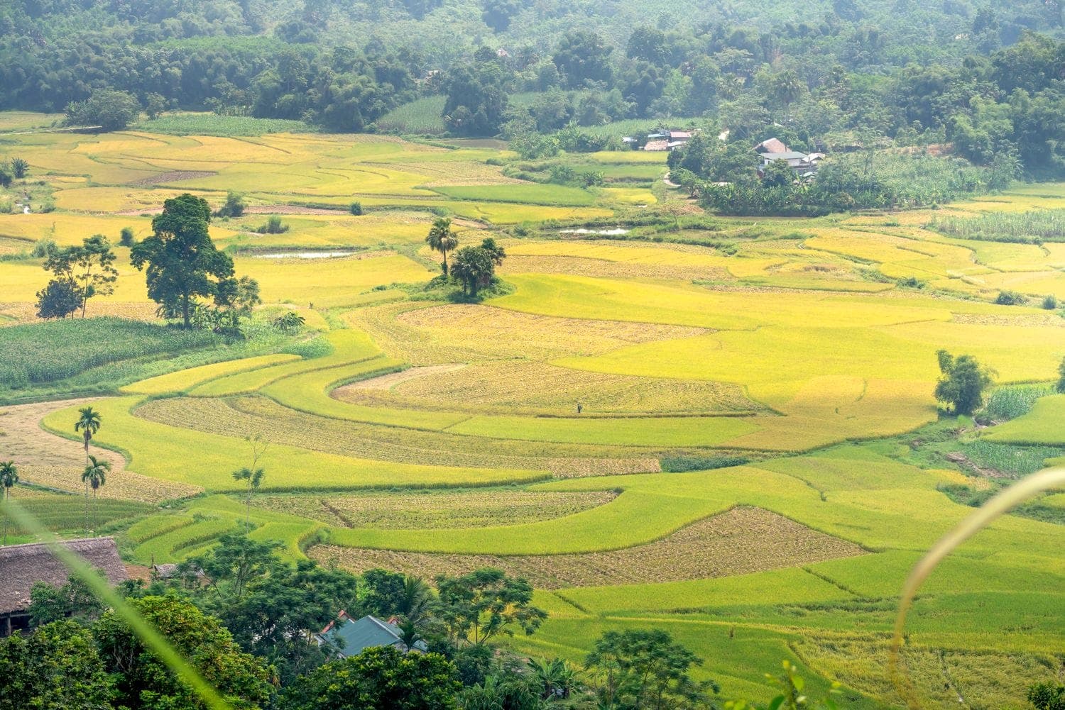 VOAC කාබනික ගොවිපල සහකරු